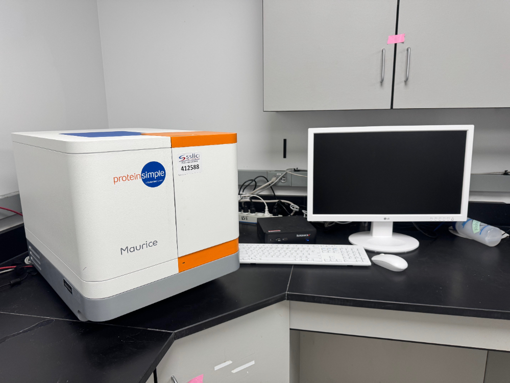 Image of ProteinSimple Maurice C. - OBM Protein Analyzer